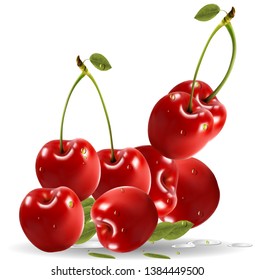 Ripe red cherry berries with leaves. Vector.