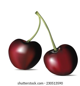 Ripe red cherry berries with leaves. Vector. 