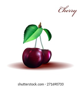 Ripe red cherry berries with leaves. Vector.