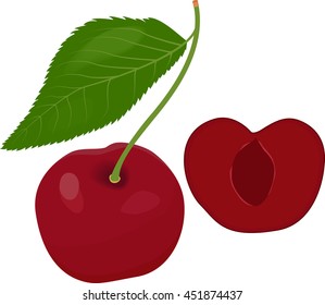Ripe red cherry berries with leaves. Vector