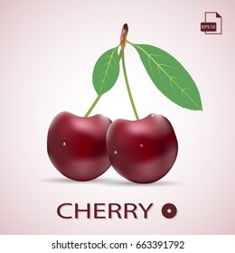 Ripe red cherry berries with leaves. Vector illustration