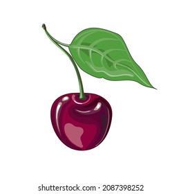 Ripe red cherry with a leaf. The fruit. Stock vector illustration isolated on a white background.