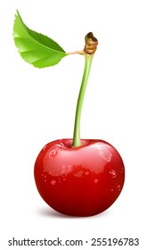 Cereza roja madura con hojas. Ilustración vectorial.