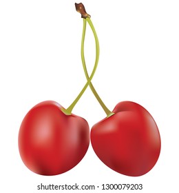 Ripe red cherry, two berries connected by a stem