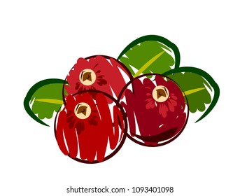 Ripe, red cranberries, doodle
