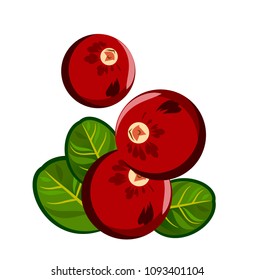 Ripe, red cranberries, doodle
