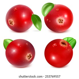 Fresas rojas maduras con hojas. Ilustración del vector