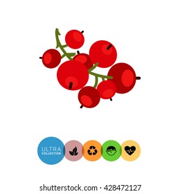 Ripe red currant icon