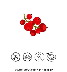Ripe red currant icon