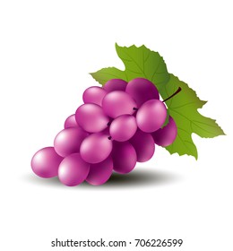 Ripe red grape on a white background vector design.