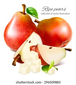 Ripe red pears with leaves and slices. Vector illustration.