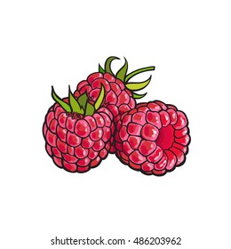 Ripe Red Raspberry Realistic Drawing Vector: เวกเตอร์สต็อก (ปลอดค่า