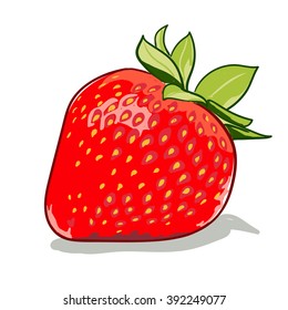 Ripe red strawberries on a white background vector illustration