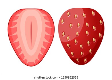 Ripe red strawberry berry two halves cut form on white background. Vector illustration of summer healthy vitamin food. Seasonal food, healthy food