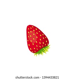 ripe red strawberry vector illustration