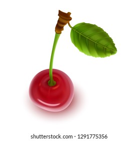 Ripe Red Sweet Cherry with Green Leaf, Isolated on White Background, Close-up, Hand Drawn, Realistic Vector 3D Illustration