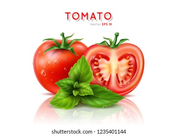 Ripe Red Tomato Cut In Half. Realistic Vector Illustration