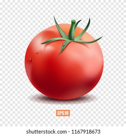 Ripe red tomato isolated on a transparent background with drops of dew, useful food, vegetable, garden fruit, agriculture. 3D effect. Vector illustration. EPS10