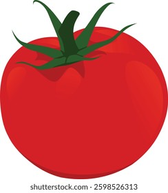 A ripe red tomato isolated on a white background