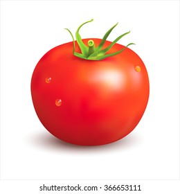 Ripe red tomato on white. Vector illustration.