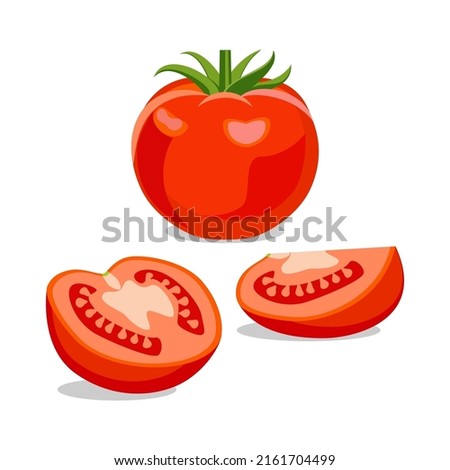 Ripe red tomato vector illustration. Whole tomato with leaves, half tomato, tomato slice isolated on white background