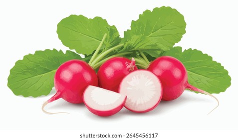 Tomates vermelhos maduros Bunch: fresco, suculento, isolado no fundo branco