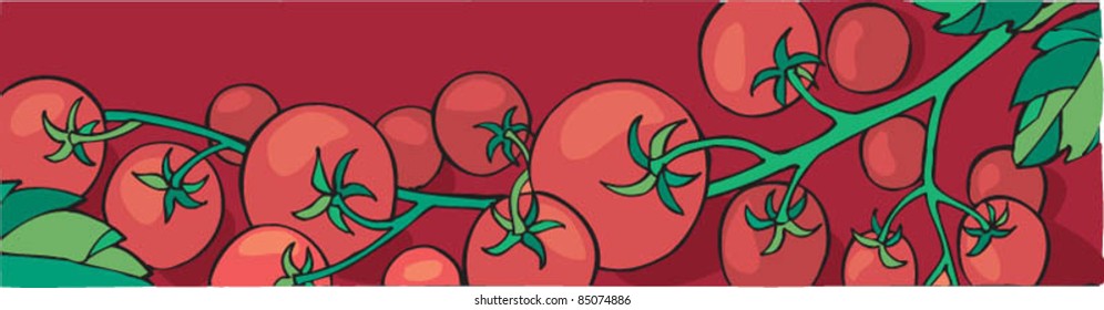 Ripe red tomatoes on vine