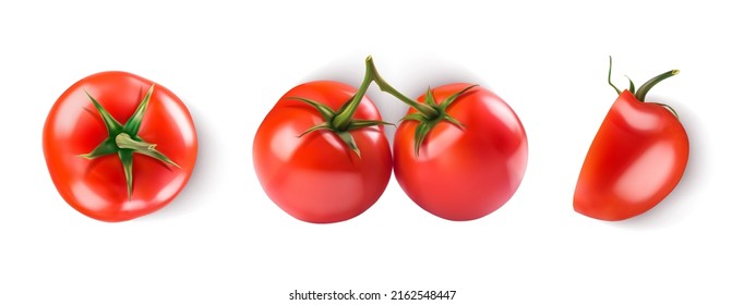 Ripe red tomatoes set. Vector realistic illustration.