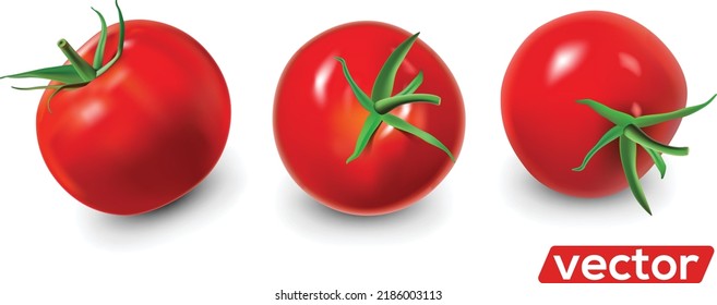 Ripe red tomatoes set. Vector realistic isolate illustration.