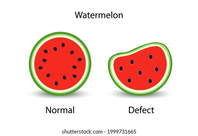 Reife rote Wassermelone ist normal und mangelhaft. Halbe Wassermelone mit Samen. einzeln auf weißem Hintergrund. Vektorgrafik