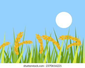 Ripe rice paddy field with sunrise vector