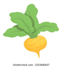 Ripe root icon cartoon vector. Turnip vegetable. Sweet cooking