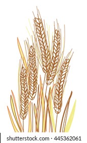 Ripe rye. Ears of corn in a field with leaves . Vector freehand drawing , sketch.