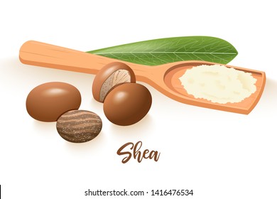 Ripe shea nuts and leaf. shi tree pods whole and cracked. Vitellaria paradoxa. Card template copy space. Oilplant for cooking, cosmetics, aromatherapy, perfume, food, healthcare, ointments, oil prints svg