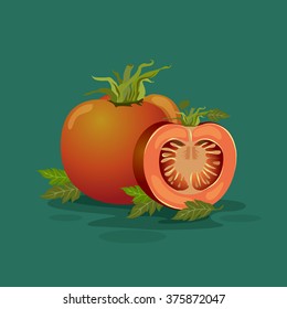 Ripe slice tomato. Vector illustration.