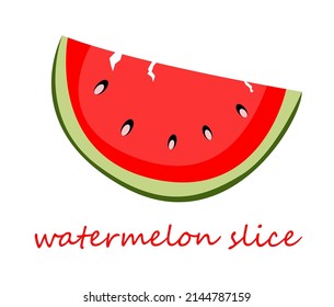 ripe slice of watermelon. colorful vector illustration