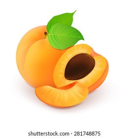 Ripe sliced apricot on a white background.Vector illustration.