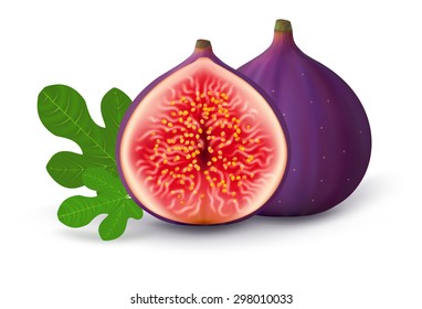 Ripe sliced fig on a white background.Vector illustration.