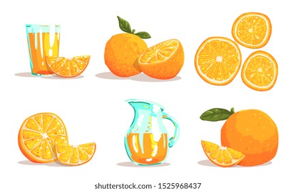 Ripe Sliced Oranges and Fresh Juice Set Vector Illustration