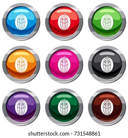 Ripe smiling melon set icon isolated on white. 9 icon collection vector illustration