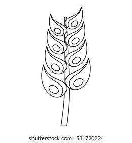 Ripe spica icon. Outline illustration of ripe spica vector icon for web