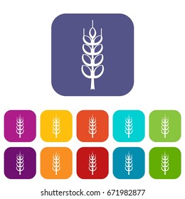 Ripe spike icons set vector illustration in flat style In colors red, blue, green and other