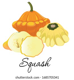 Ripe squash icon vector illustration. Whole, half and sliced pumpkin. Garden plant. Isolated on white background