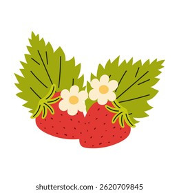 Ripe strawberries with leaves and blossom. Juicy summer berry. Vector illustration.