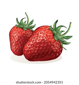 Ripe strawberry fruit with seeds. Vector image on a white background.