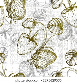 Ripe strawberry, strawberry lobules, flowers and leaves on white background. Vector shabby hand drawn illustration