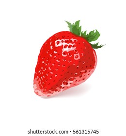 Ripe strawberry on a white background. Vector