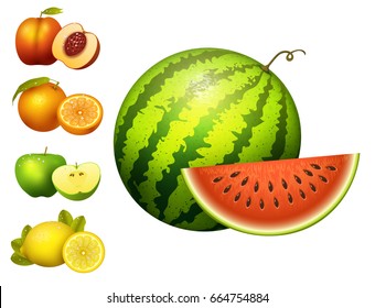 Ripe striped watermelon realistic juicy fruits slice apple vector illustration slice green isolated ripe melon.