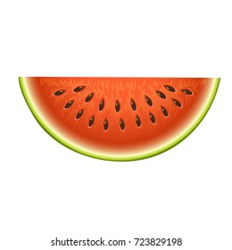 Ripe striped watermelon realistic juicy vector illustration slice green isolated ripe melon.