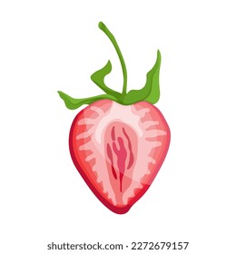 Ripe summer strawberry. Vector graphics.